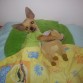 aki Brunito esta listo para dormir